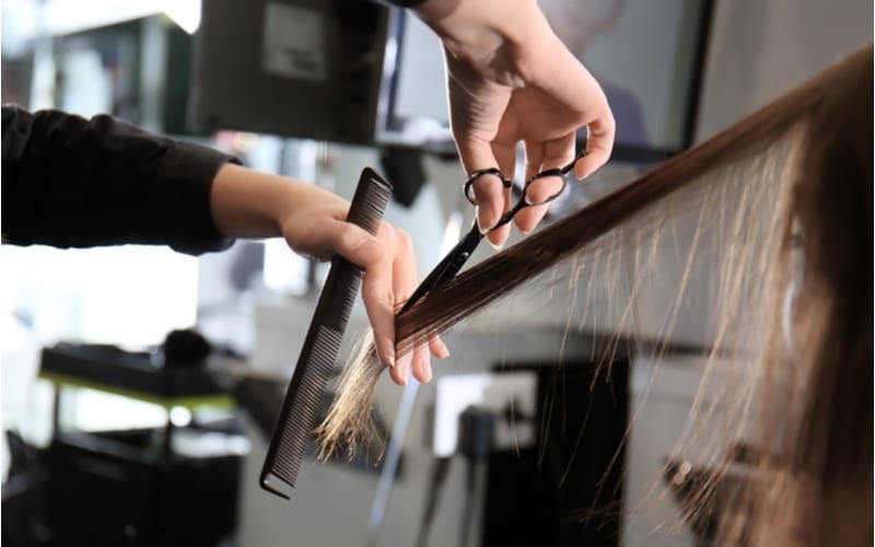As an image for a piece on Cost Cutters Prices, Professional stylist cutting woman's hair in salon, closeup