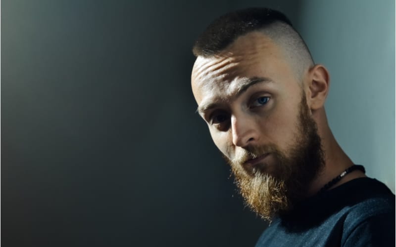 Portrait of young European hipster with fair skin and trendy ginger beard. Fashionable undercut hairstyle and handsome face features and an undercut