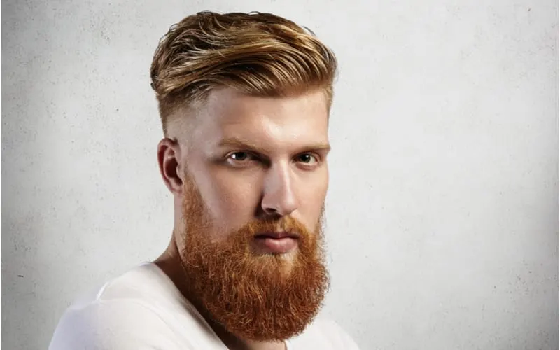 Sideways portrait of natural blond Caucasian man on white background. Bearded hipster with clean shaved temples and stylish well-trimmed moustaches looking serious and brutal with long facial hair and a high fade haircut