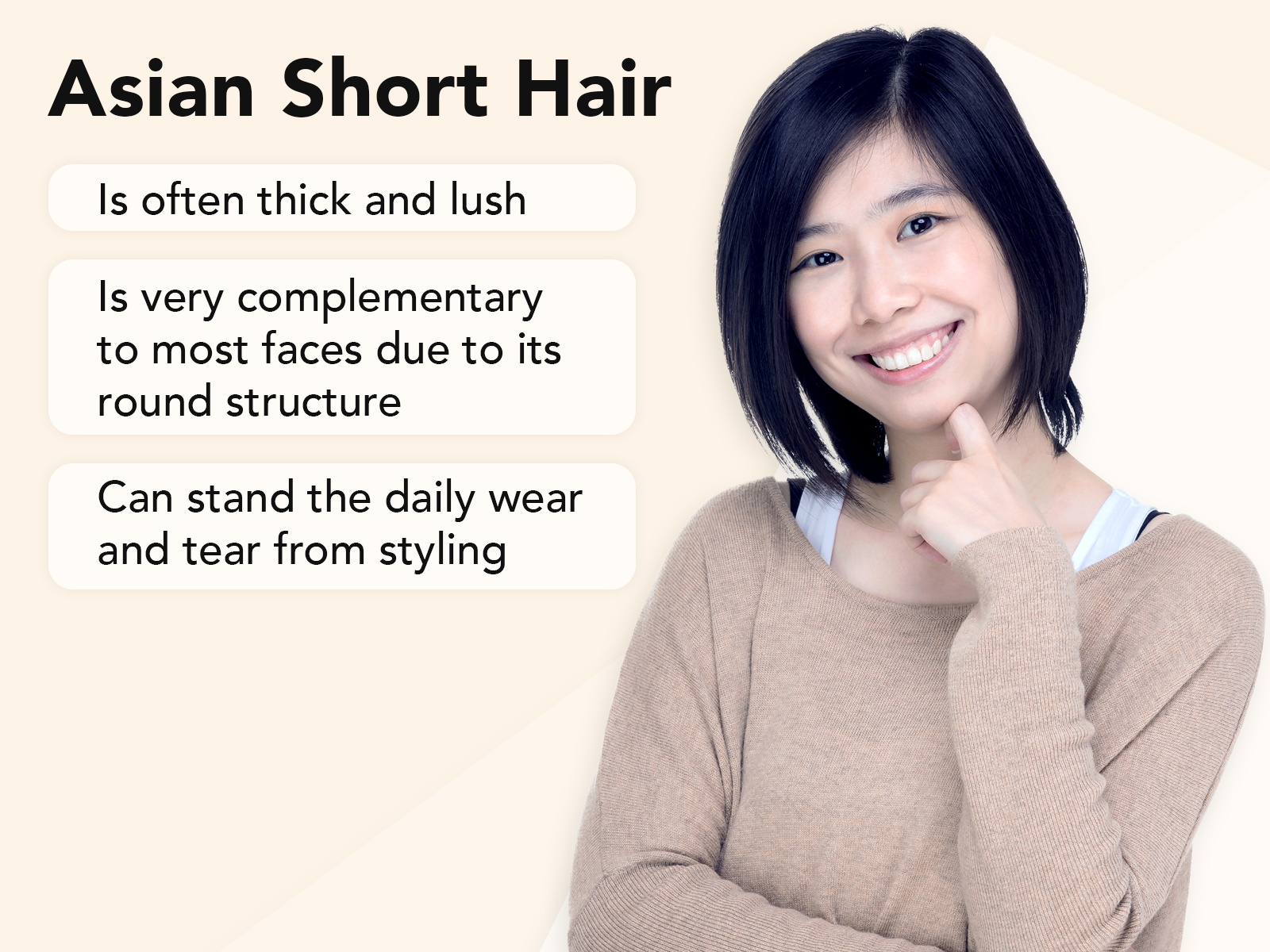 Asian Short Hair explainer image on a tan background
