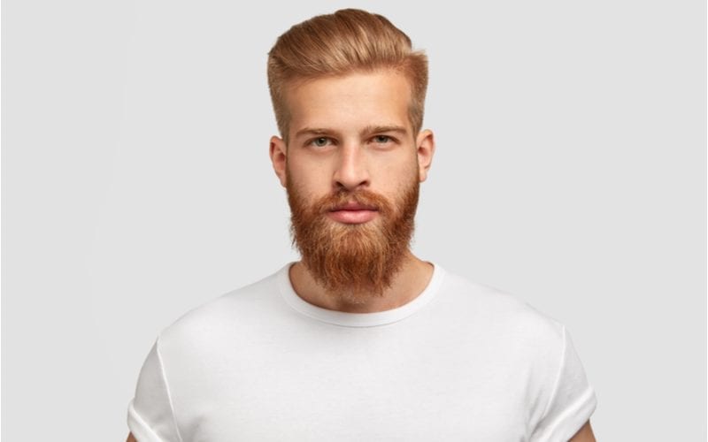 Man with a red headed hairstyle wears a tshirt with sleeves rolled up and looks at the camera without smiling