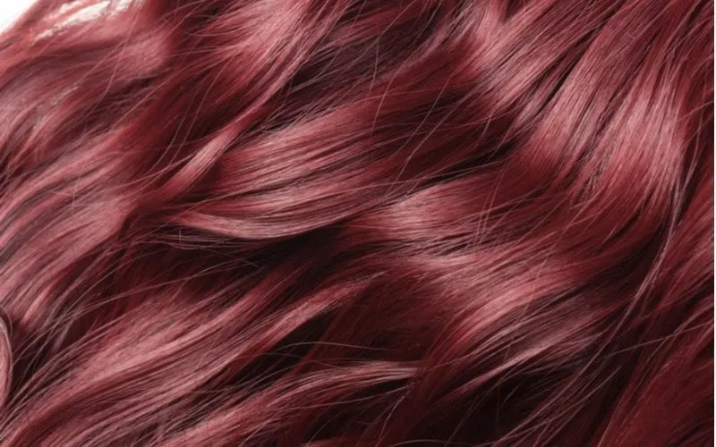 Long toustled burgundy color hair
