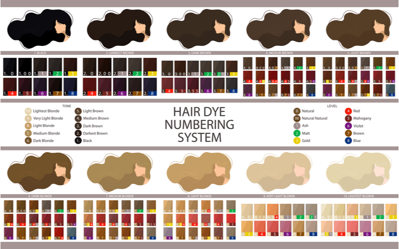 Hair dye numbering system featuring many shades of burgundy color hair dye