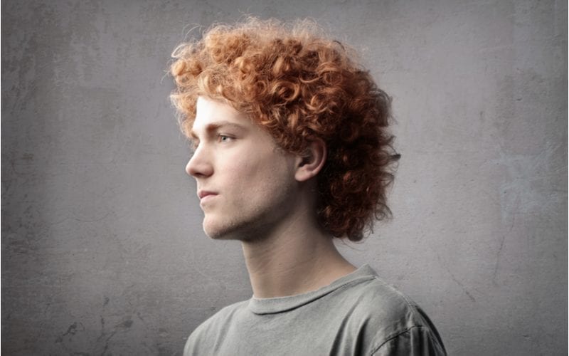Profile of a red headed hairstyle guy in a grey shirt
