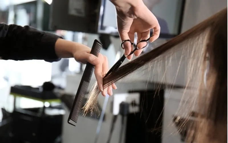 Hair dresser holding a long piece of hair and cutting it with her right hand