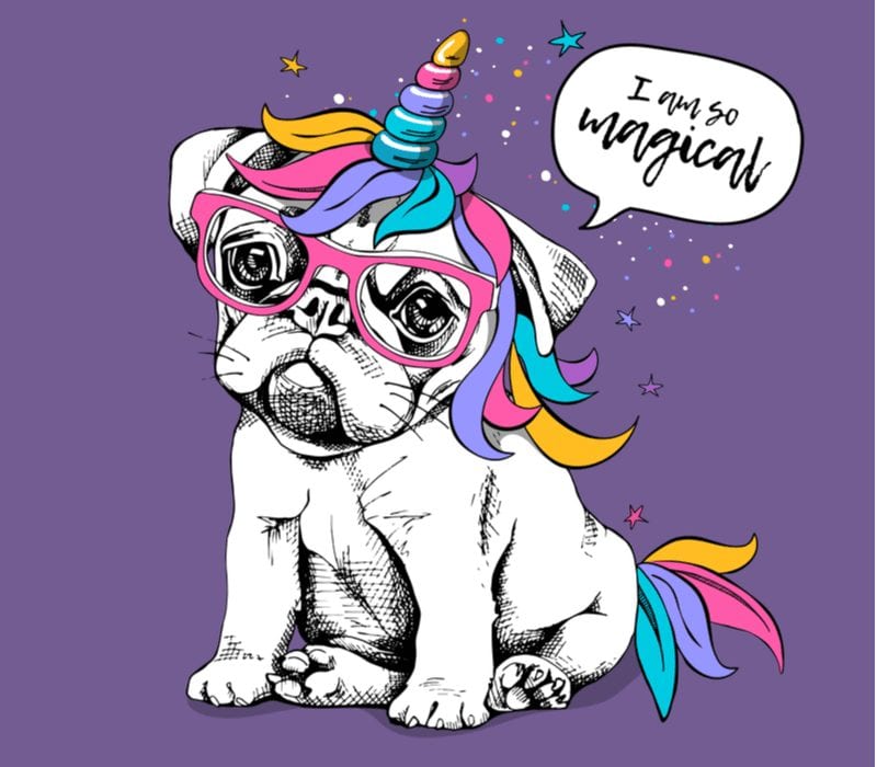 Illustration of a puppy dog with holographic hair (like a unicorn) and a speech bubble that says I am so magical
