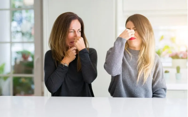 Mother and daughter holding their noses because they tried to make rice water for hair and let it sit too long