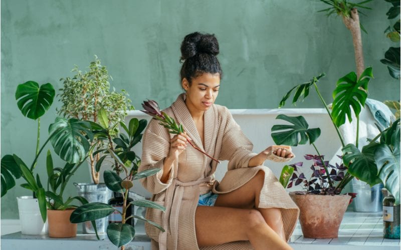 A great natural hairstyle featuring a high tucked bun on a woman sitting among a bunch of plants on a porch