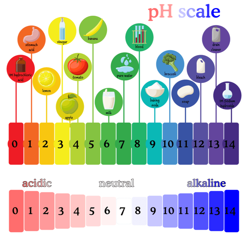 Illustration of the ph scale showing various types of foods and substances to illustrate why you need an apple cider vinegar hair rinse