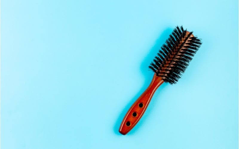 Against a blue background sits a boar bristle brush with a wooden handle