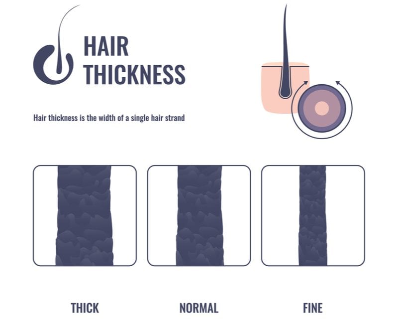 Image showing a photo of all different hair thicknesses for a piece on what is Fine Hair