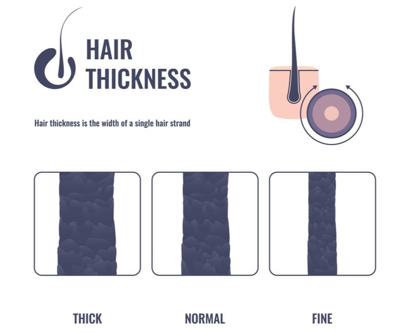 For a piece on what is Coarse Hair, a thick, normal, and fine body put into a graphic