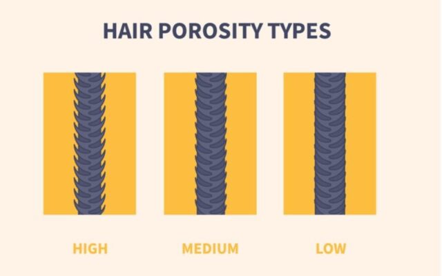 What Is Hair Porosity And Why Does It Matter