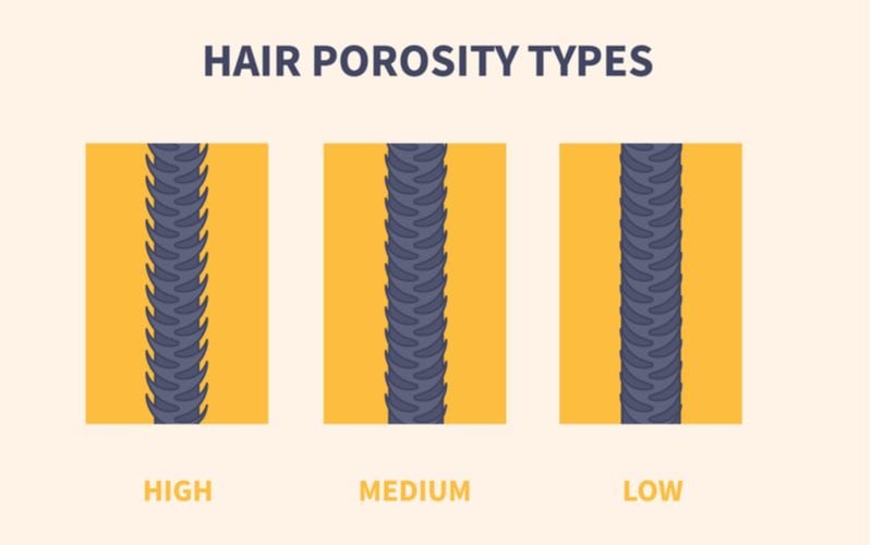 For a piece on is coconut oil good for your hair, a chart showing the first step in answering the question -- determining hair porosity