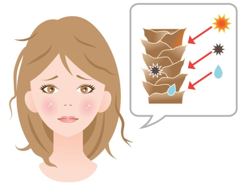 Illustrated woman with factors that affect hair breakage including light, water, and heat