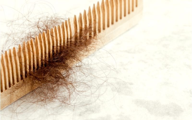 What Is Hair Breakage? | & How to Prevent It