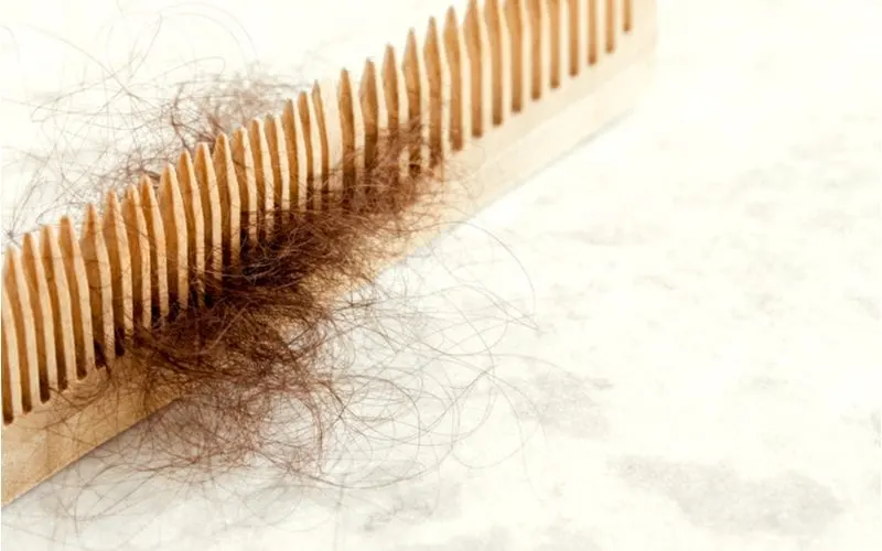 For a piece on what is hair breakage, a wooden comb with frizzy hair stuck in the middle