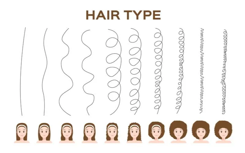 Type of hair illustrated into a graph for a piece on the best flat irons