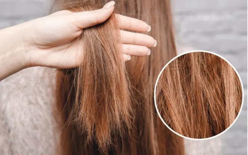A con of using coconut oil for hair is protein overload which can cause split ends, as showing in this photo