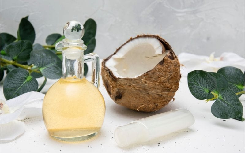 Image of Coconut oil (the best for hair) sitting on a layflat image with leaves and granite in the background