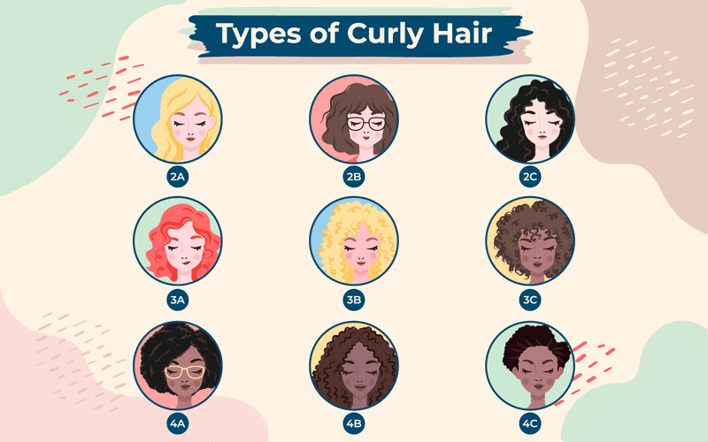 Types of Curls put into a single chart