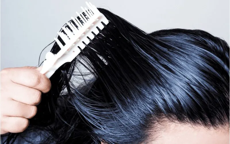 Close up of a young Asian woman holding a brush to her hair that is very oily before she shampoos it