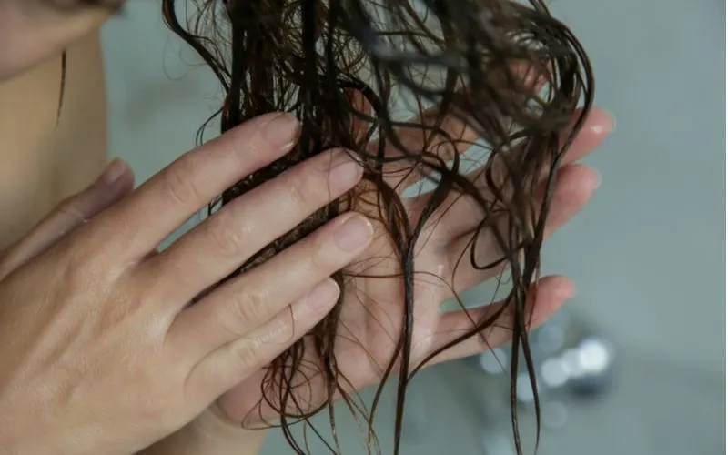 For a piece on how to dry curly hair, and image of wet hair being rung out in a bathtub