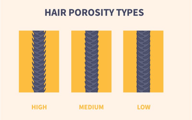 Image of high, medium and low porosity hair illustrated in to a microscope-like image with hair porosity types as the heading