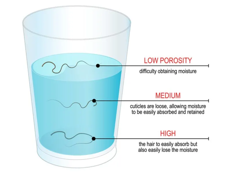 To help illustrate how to determine whether you have low hair porosity, an image of three hairs floating in a glass