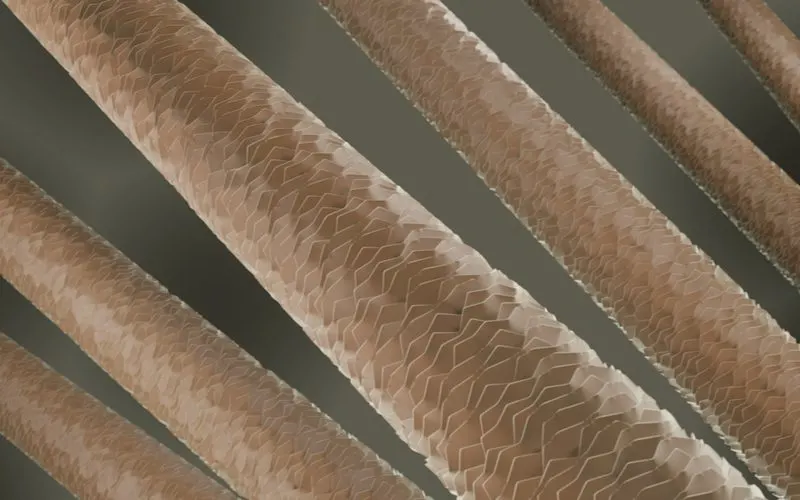 Close-up of hair with low porosity in a super-microscopic image