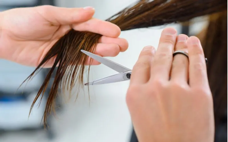 To illustrate step 3 in how to get thicker hair, a person cutting split ends from wet hair