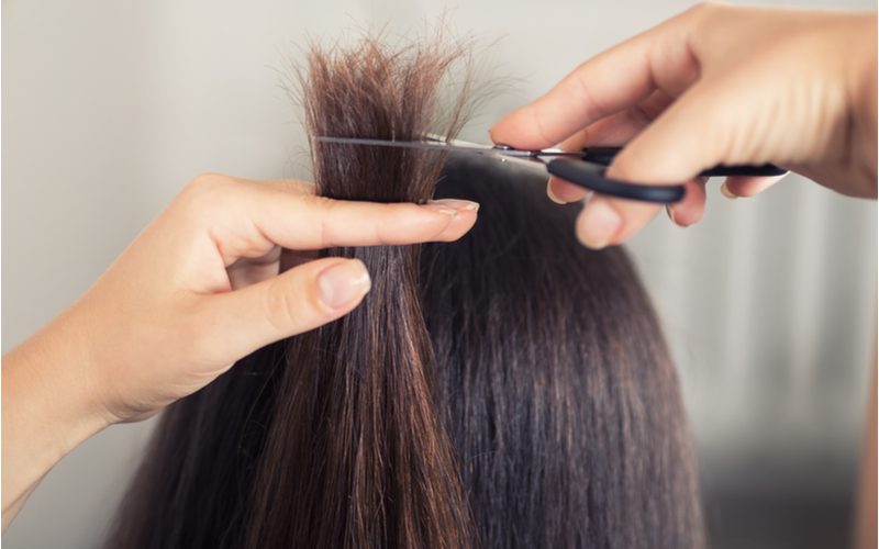 Woman getting her split ends trimmed for a piece on how to care for permed hair