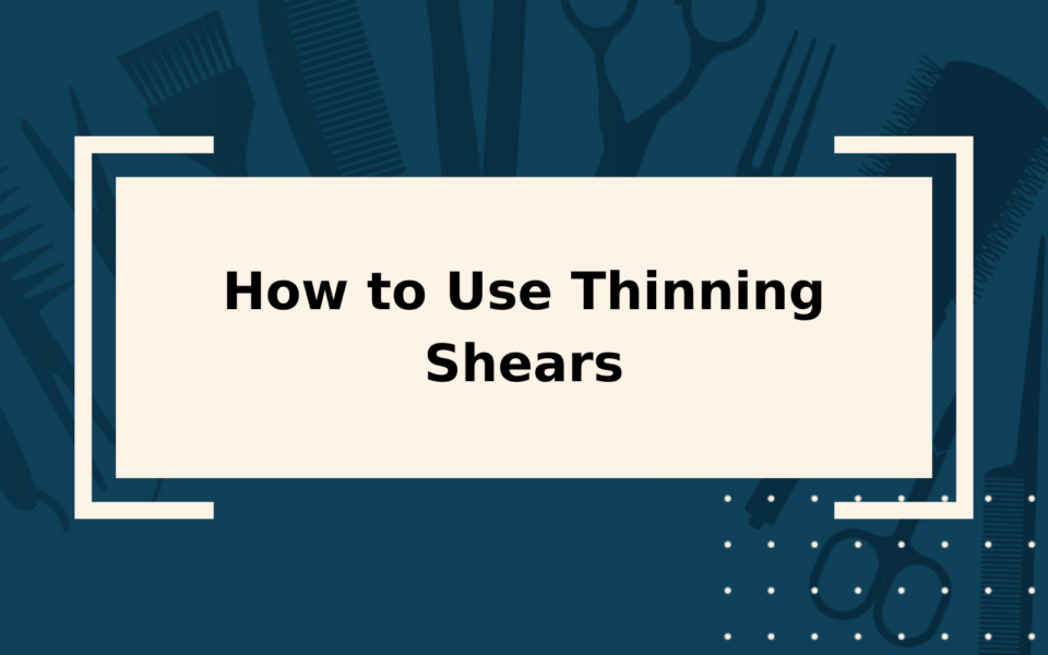 How to Use Thinning Shears StepbyStep Guide You Probably Need a