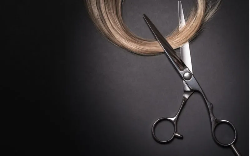 For a piece on how to thin hair, a pair of scissors thinning hair