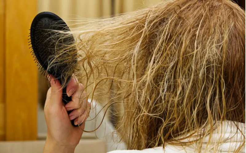 Woman with bleached and tangled hair in a brush for a piece on how often to bleach hair