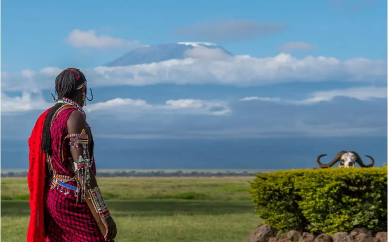 Kenyan warrior with dreadlocks looking up at Mount Kilimanjaro while wearing traditional African garb