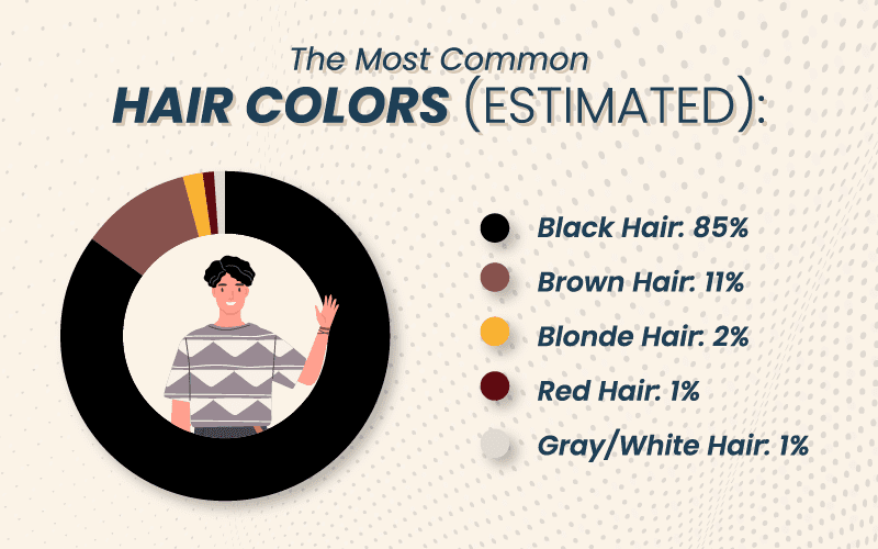 Bảng màu tóc phổ biến nhất theo màu cho một phần có tiêu đề là màu đen, màu tóc tự nhiên