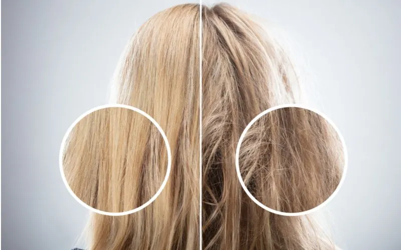 Damage to hair after dying it white and doing it wrong in a side by side image with round bubbles highlighting the damage