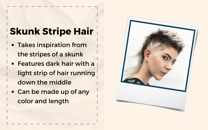 Tiêu đề ảnh Skunk Stripe Hair nêu bật các đặc điểm chính của phong cách này và ví dụ bên phải