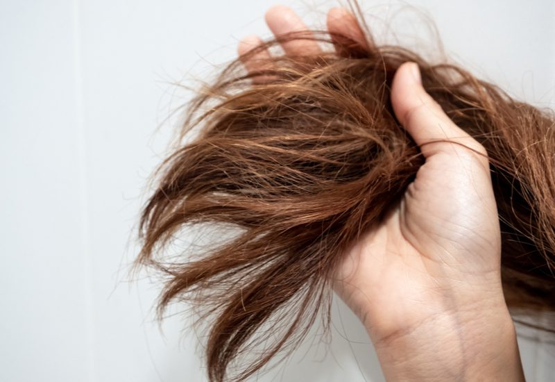 Cầm một nhóm tóc bị tổn thương bằng tay để biết cách nhận biết bạn có bị tổn thương tóc hay không