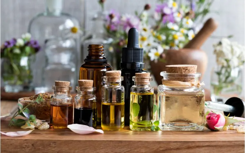 Various essential oils in jars for a piece on using oils for hair growth