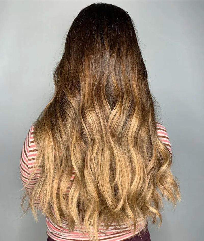 Golden Brown Brown hair with blonde highlights