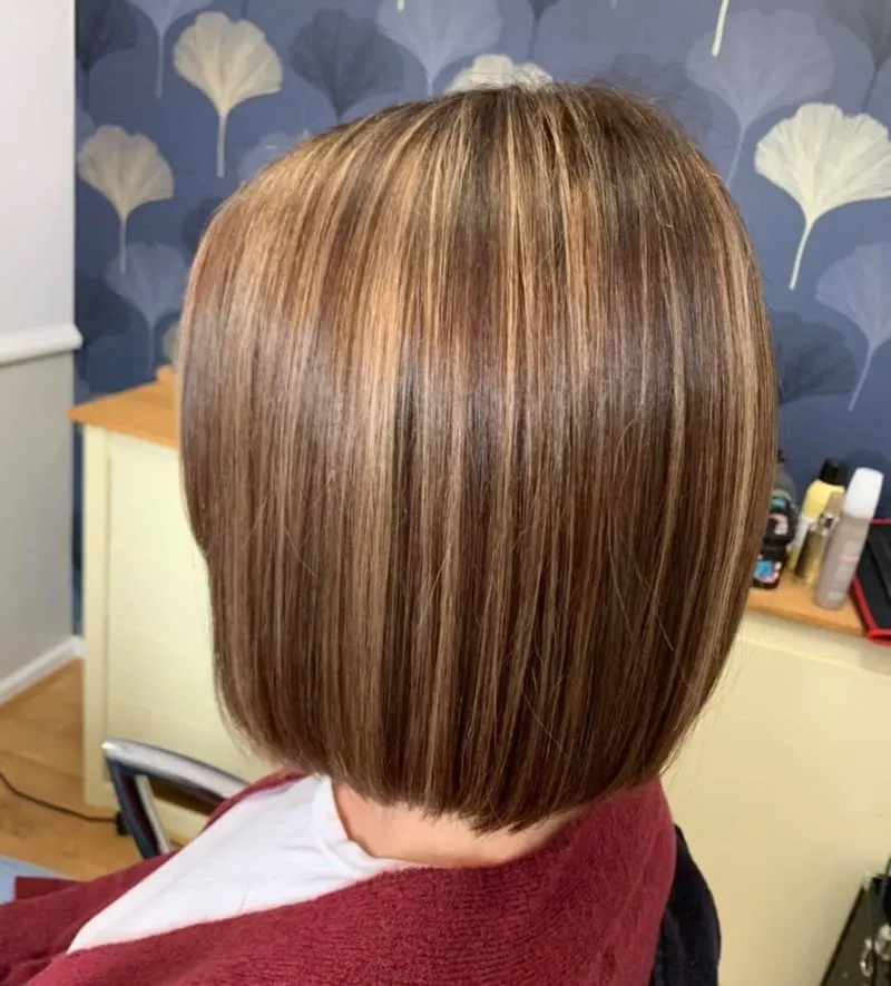 Honey Highlights Brown hair with blonde highlights