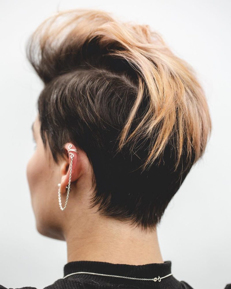 Mixed Mohawk Brown hair with blonde highlights