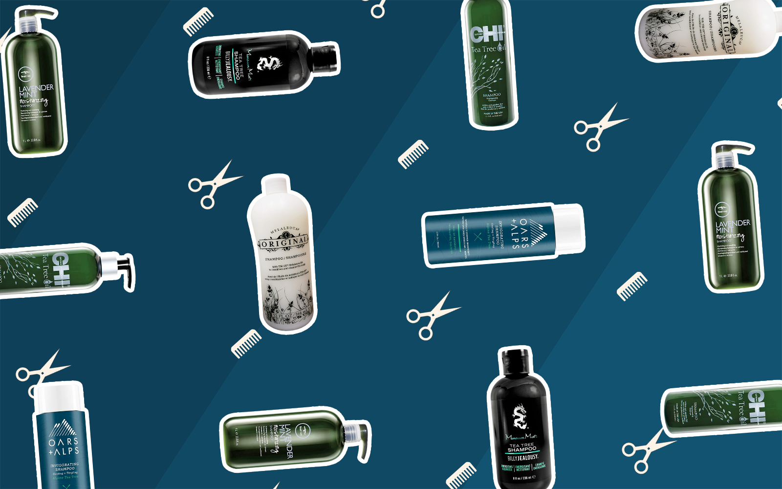 Tea Tree Shampoo | Our Top 5 Picks & Buying Guide