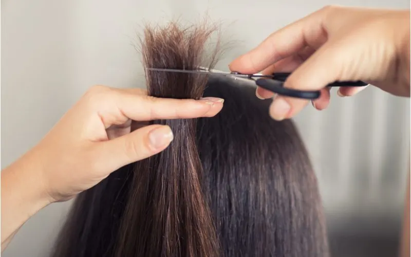 How to fix damaged hair image showing someone getting a trim