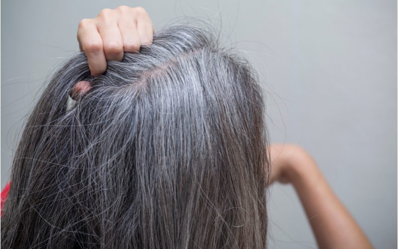 Frizzy gray hair, a prime candidate for the best conditioner for gray hair