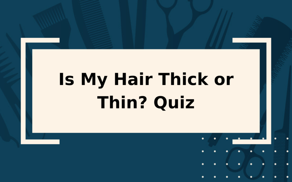 Is My Hair Thick Or Thin Quiz It s Only 5 Questions 