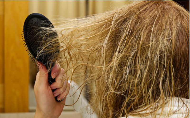Best shampoo for tangled hair being pulled by a black brush
