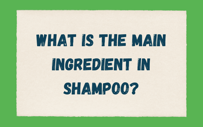 What Is the Main Ingredient IN Shampoo graphic